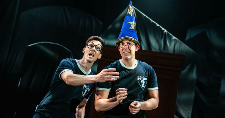 potted potter une parodie pas vraiment officielle par dan jeff