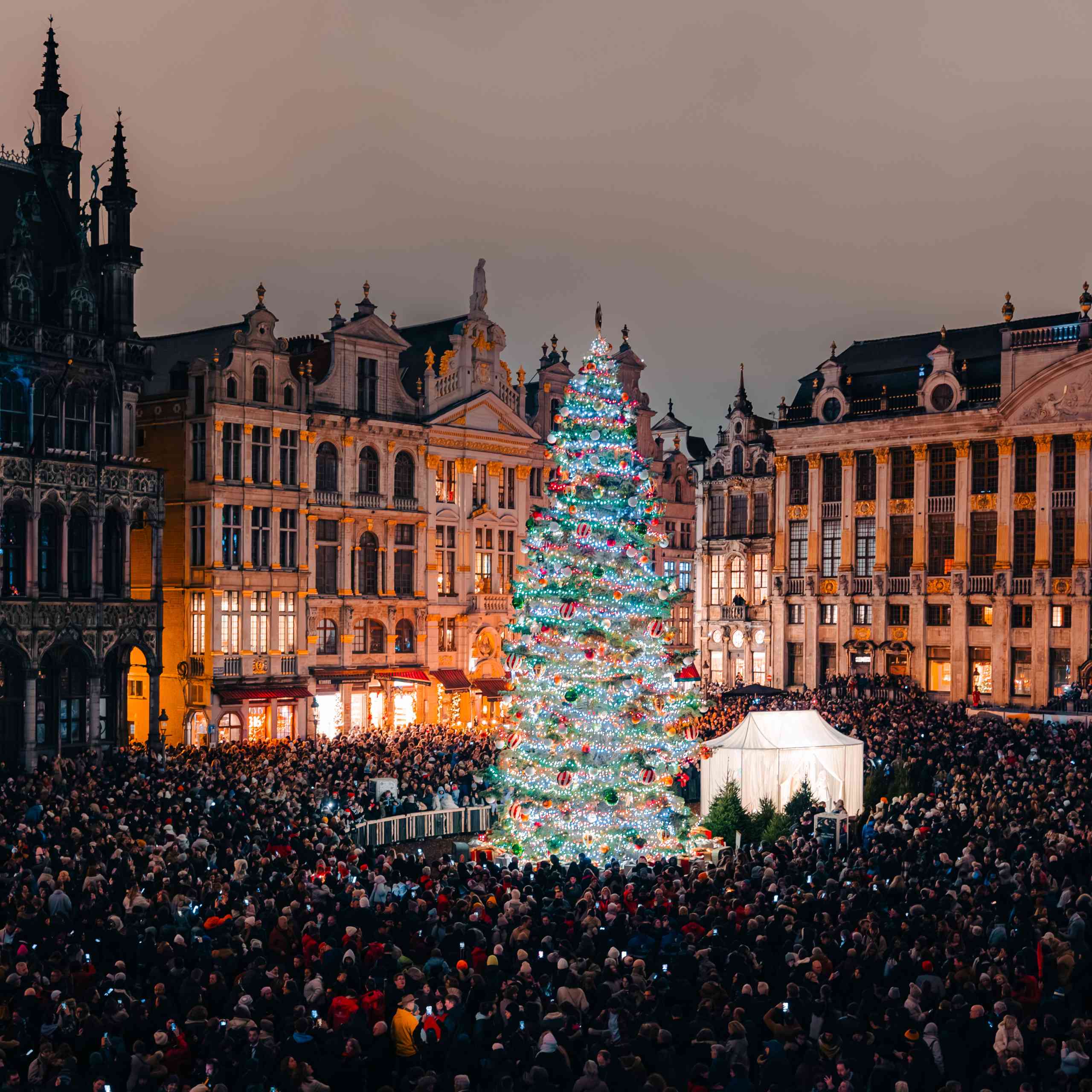 sapin de la grand place